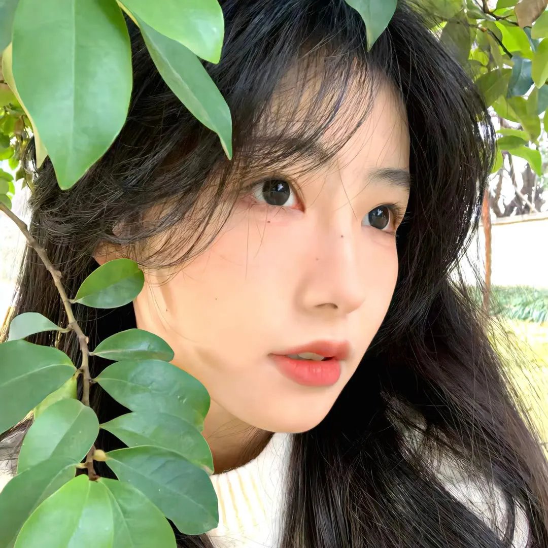 爱莲妹妹