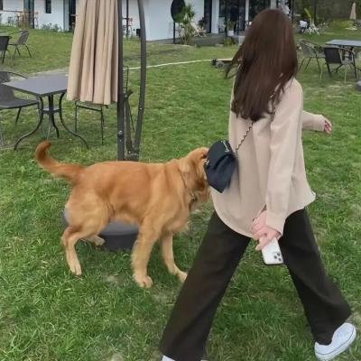 巴黎最后探戈